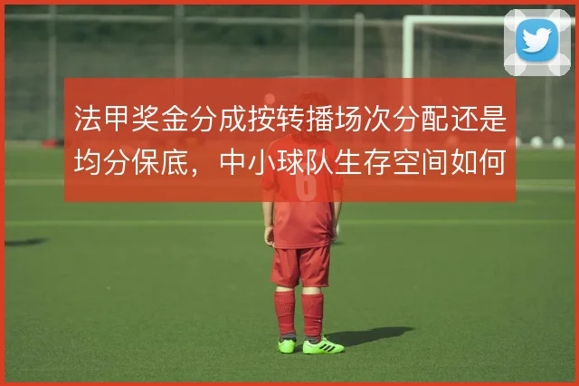 法甲奖金分成按转播场次分配还是均分保底，中小球队生存空间如何取舍
